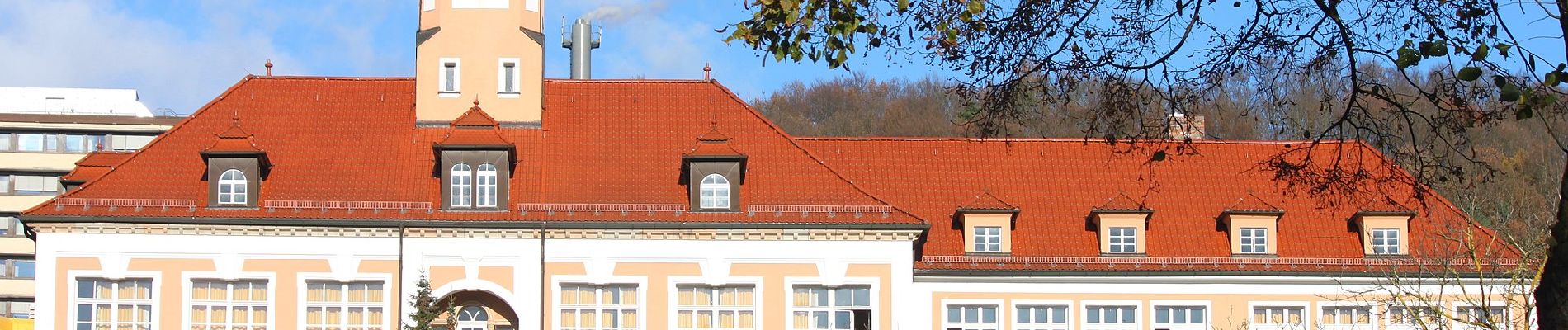 Percorso A piedi Kulmbach - Frühlingshöhen-Weg KU 41 - Photo