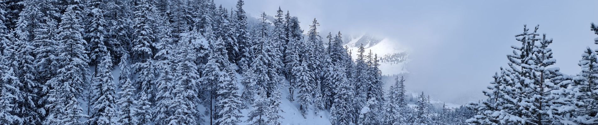 Trail Snowshoes Pralognan-la-Vanoise - Les Fontanettes  - Photo