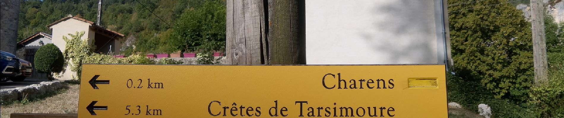 Tour Wandern Charens - Montagne de Tarsimoure - Charens  - Photo