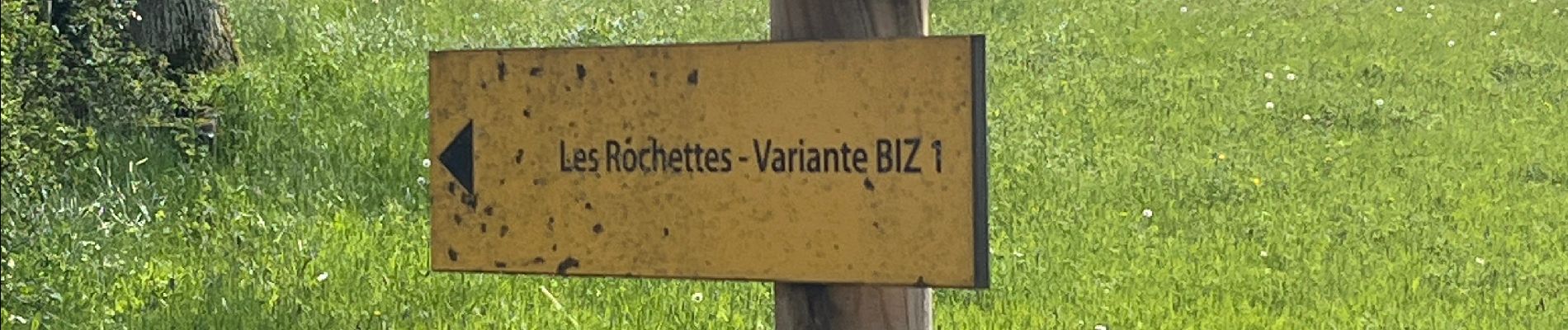 Tocht Stappen Les Bizots - 20230502_Les Bizots-parcours BIZ1 - Photo