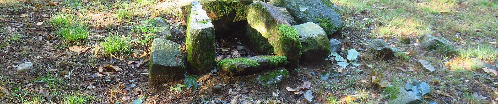 Percorso A piedi Arona - Le attività produttive - Photo