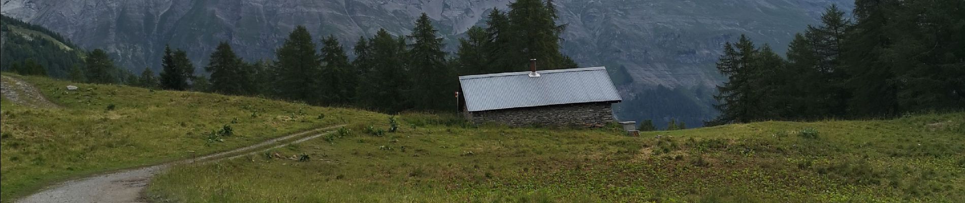 Tocht Noords wandelen Arbaz - les rousses - Photo