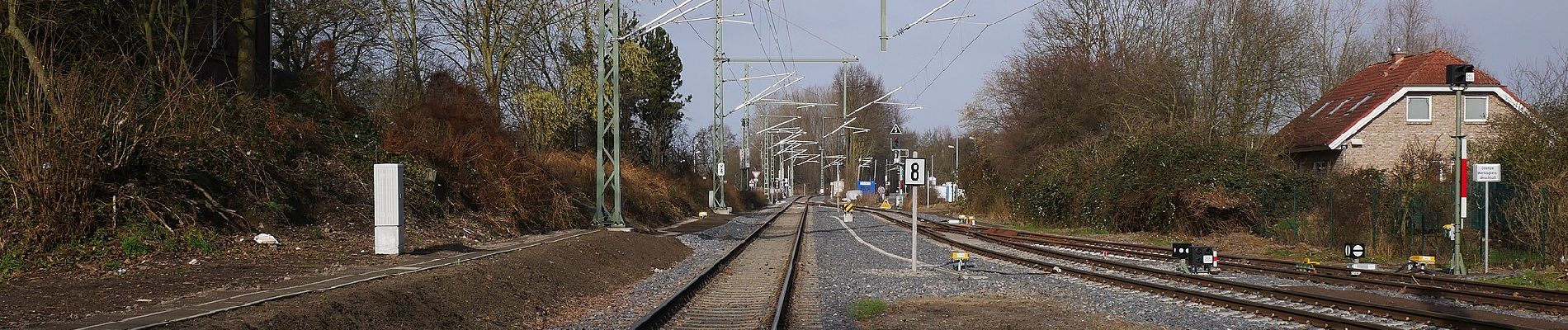 Tocht Te voet Hamminkeln - Hamminkeln Rundweg A3 - Photo