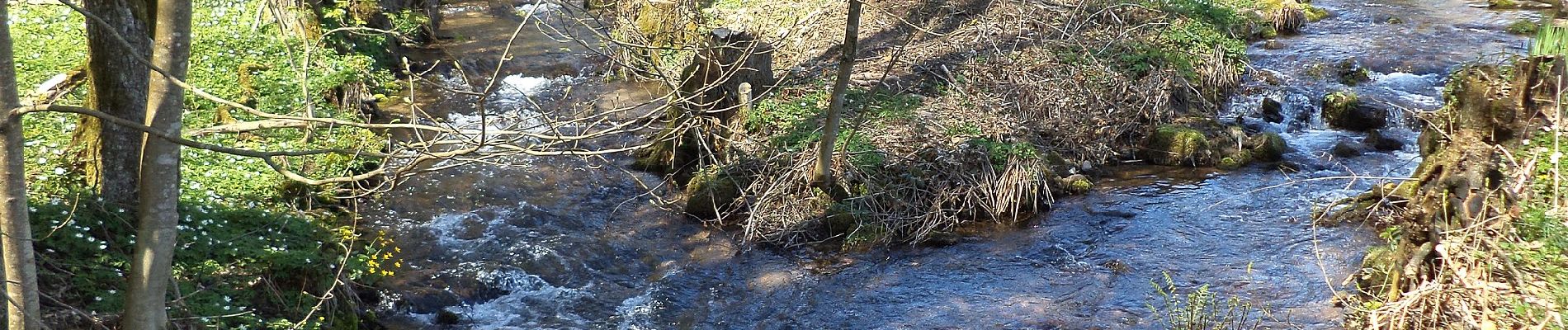 Percorso A piedi Hasloch - Kulturweg Haseltal - Photo