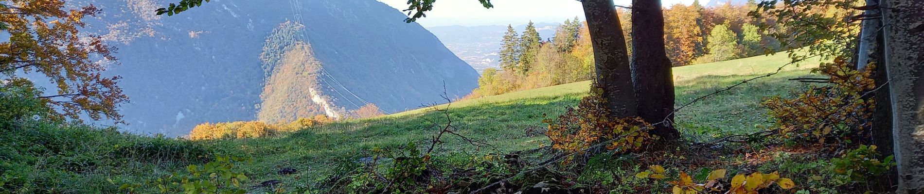 Trail Walking Saint-Nizier-du-Moucherotte - Plateau Charvet (petite boucle) - Photo