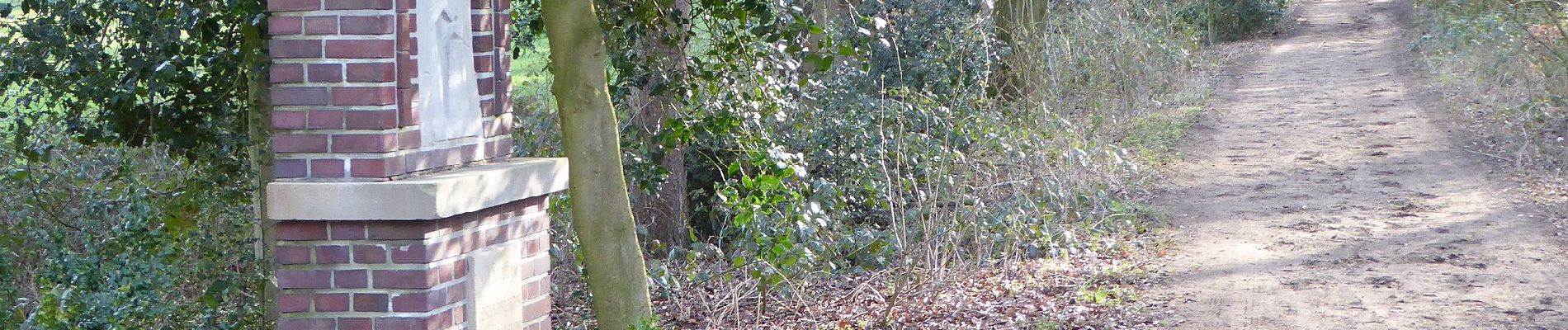 Tour Zu Fuß Reken - Waldkapelle Rundweg A3 - Photo