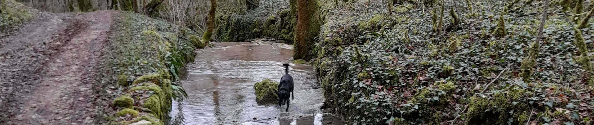 Trail Walking Vayrac - autour de Floirac  - Photo