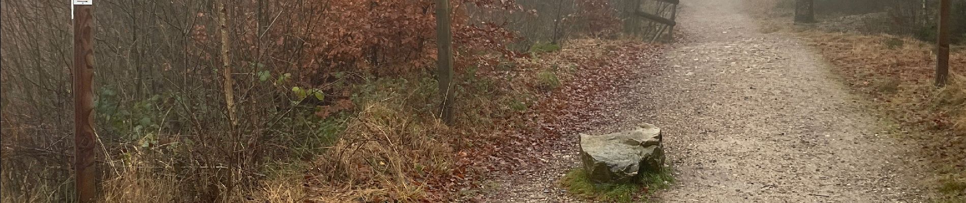 Tocht Stappen Waimes - Brasserie Peak 10 Km - Photo