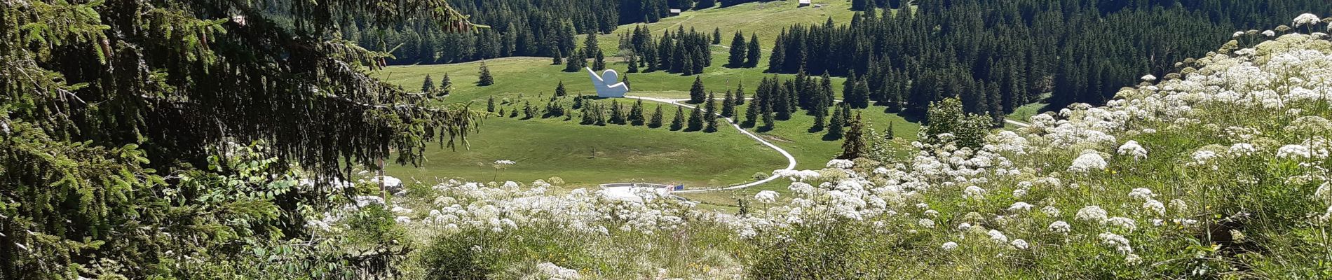 Tocht Stappen Glières-Val-de-Borne - pas du roc depuis glières  - Photo