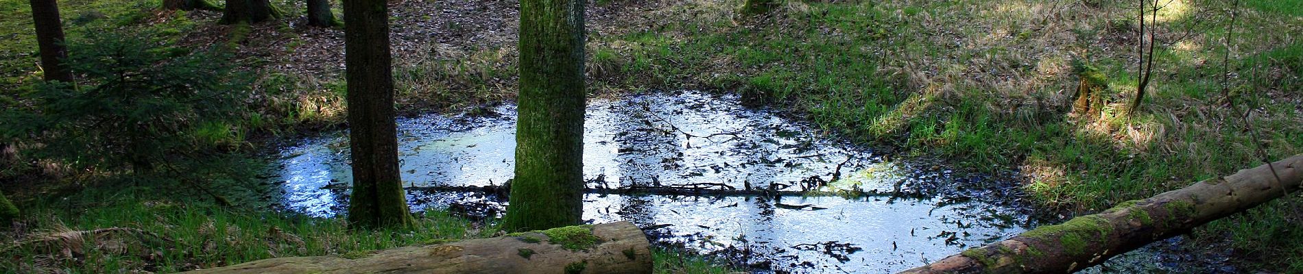 Tocht Te voet Postbauer-Heng - Keltenrunde - Photo