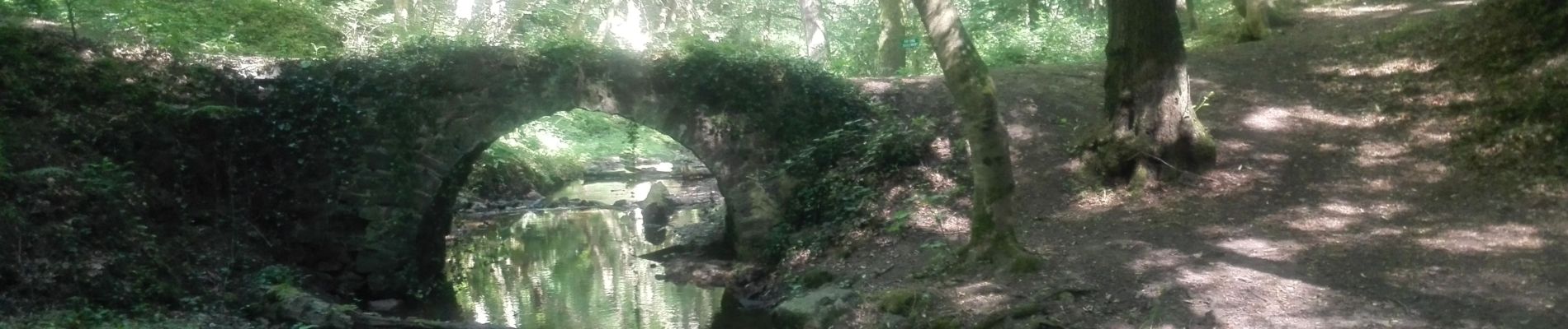 Randonnée Marche Huy - 20190628 - Boucle de Ben vers Saint-Léonard - Photo