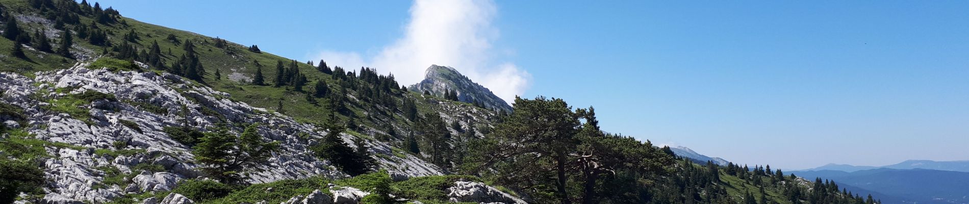 Randonnée Marche Lans-en-Vercors - Pic St Michel et Col de l'Arc - Photo