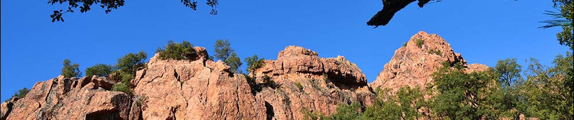 Tour Wandern Le Muy - Pk Piste des Corbières - Rocher de la fille d'Isnard - Photo