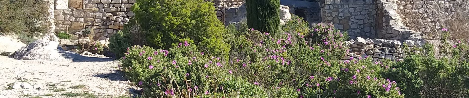 Tour Wandern Gémenos - bergerie de Tuny - Photo