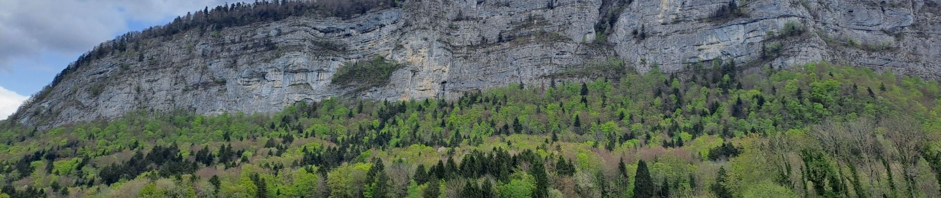 Tocht Stappen Saint-Offenge - st offenge-15-04-34 - Photo