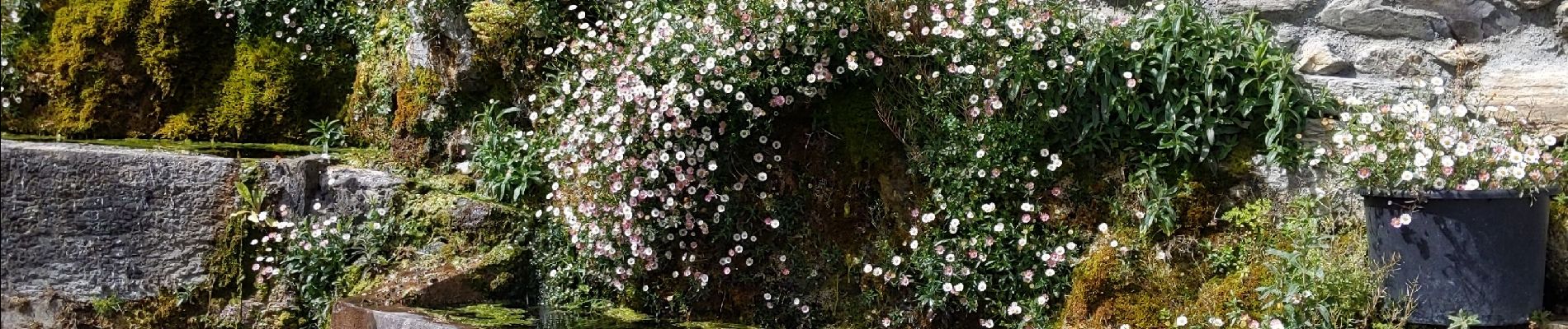 Randonnée Marche Cierp-Gaud - cierp binos - Photo