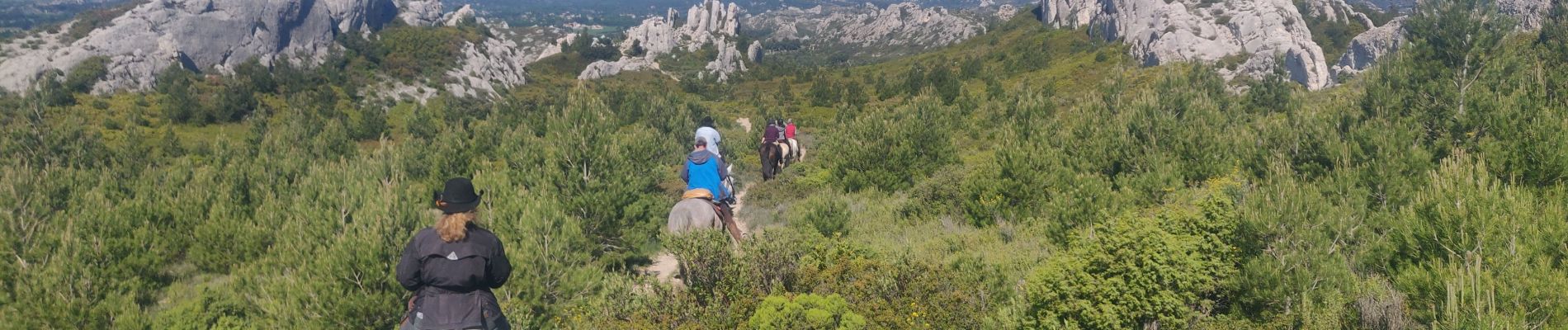 Trail Horseback riding Maussane-les-Alpilles - 2019-04-30 Rando CVA Alpilles Ranch Petit Roman Boucle - Photo