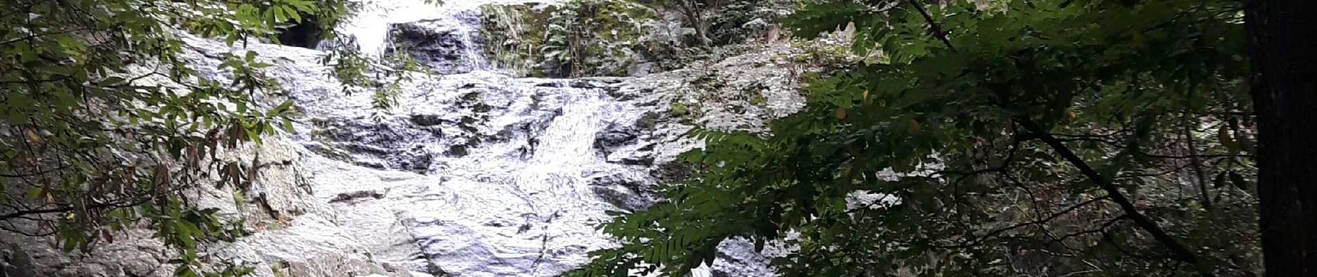 Excursión A pie Casteil - Gorges du Cady et cascade Dietrich  - Photo