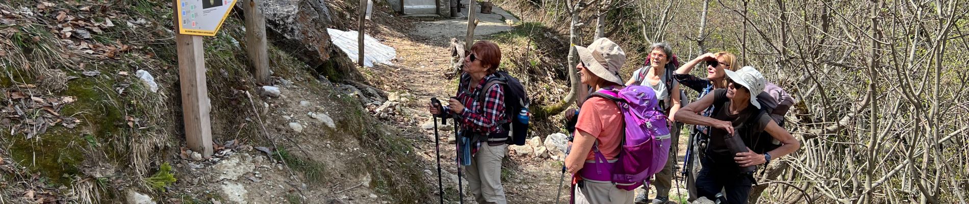 Tour Wandern Le Sappey-en-Chartreuse - 20220512 Chamechaude (tour partiel) - Photo