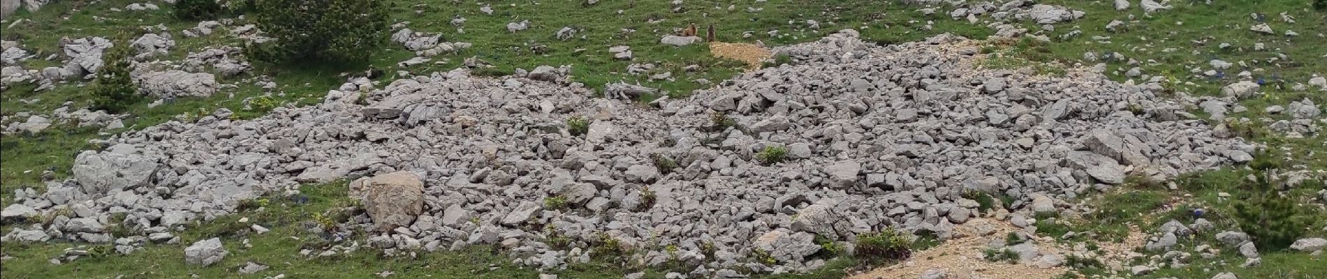 Tour Wandern Saint-Agnan-en-Vercors - Drôme carrières romaines - Photo