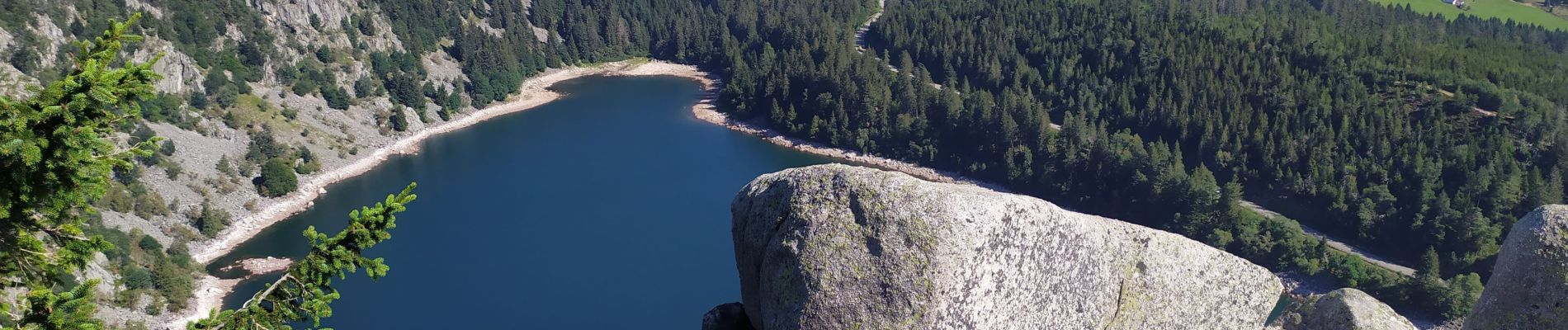 Tour Wandern Urbeis - Lac Blanc - Photo