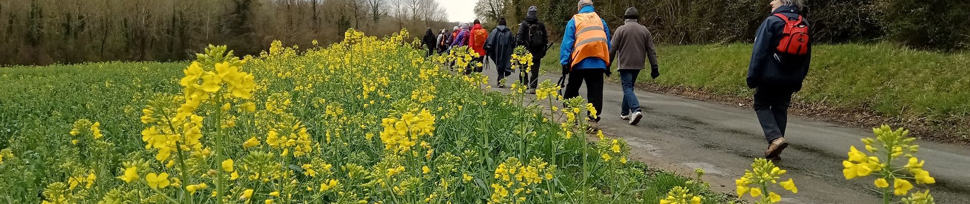 Trail Walking Chézy-en-Orxois - Chézy-en-Orxois du 31-03-2022 - Photo