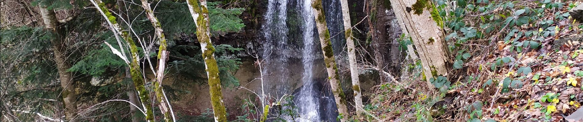 Tocht Stappen Saint-Sauves-d'Auvergne - test - Photo