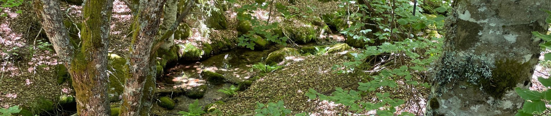 Tour Wandern Dourbies - Le lac des Pises - Photo