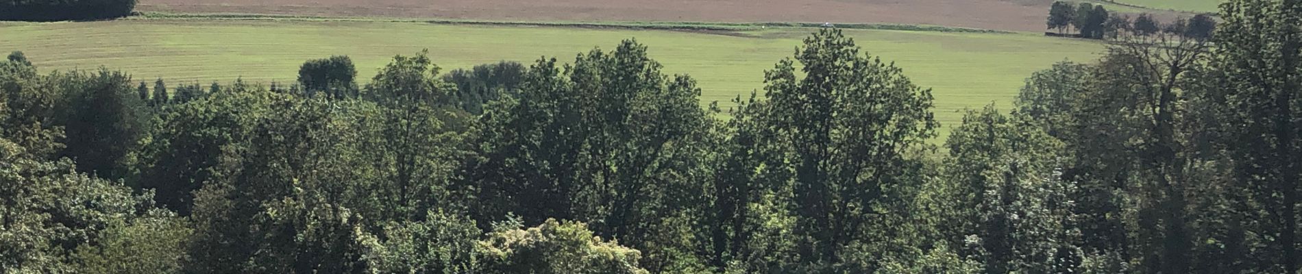 Tocht Stappen Ferrières - xhoris-les-baty-vers-le-centre- - Photo