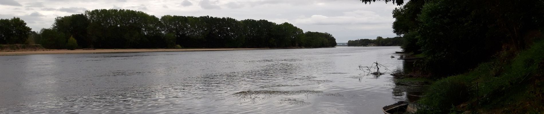 Trail Walking Gennes-Val-de-Loire - gennes - Photo