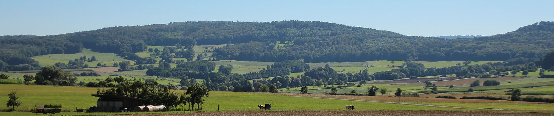 Tour Zu Fuß Nüsttal - Rundweg 2, Haselstein - Photo