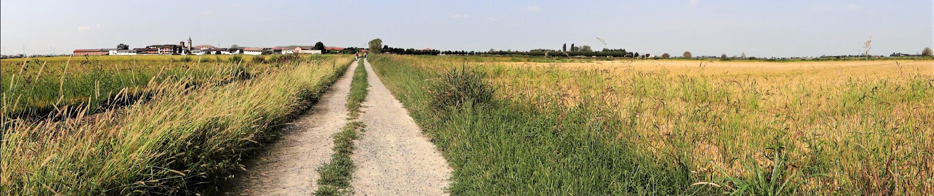 Excursión Senderismo Ronsecco - Rome_56_Ronsecco-Vercelli_20180915 - Photo