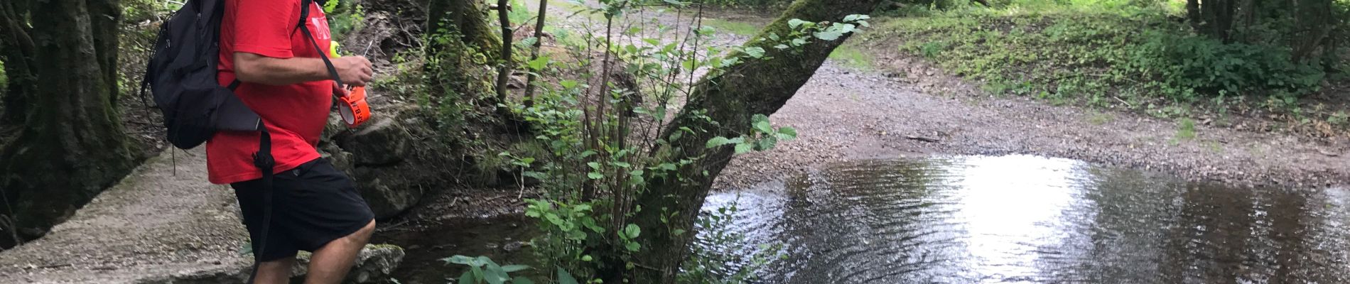 Tour Wandern Couvin - Prologue Eau Noire - Photo