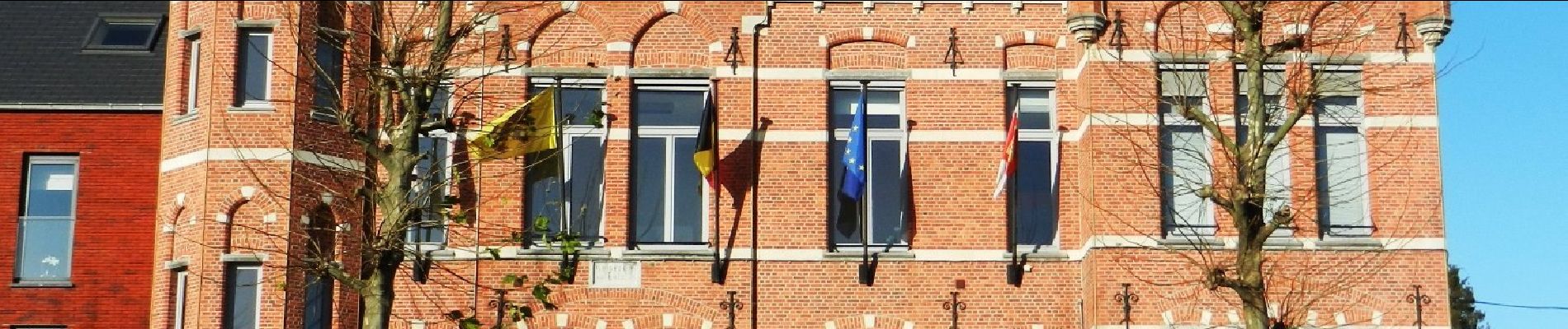 Randonnée A pied Lummen - Lummense Parels Gele zeshoek - Photo