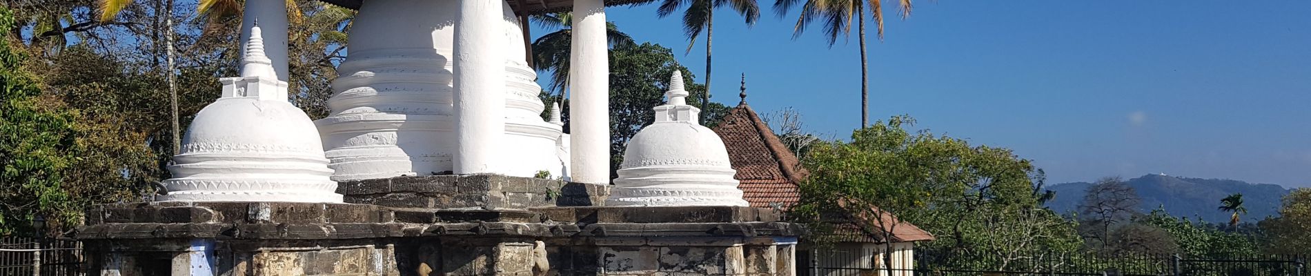 Trail Walking Kandy - Sri-07 Kandy - Gelioya - Randonnée des Trois Temples - Photo