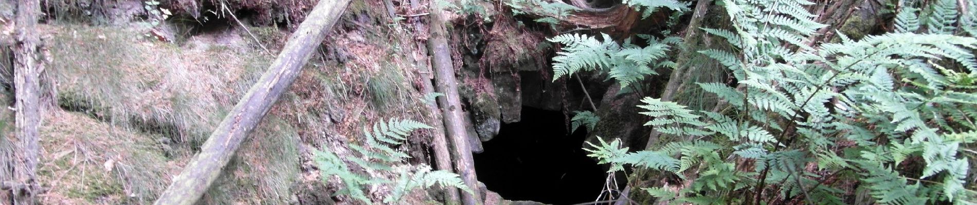 Tocht Te voet Wennigsen (Deister) - Hüttenwanderung im Deister - Photo