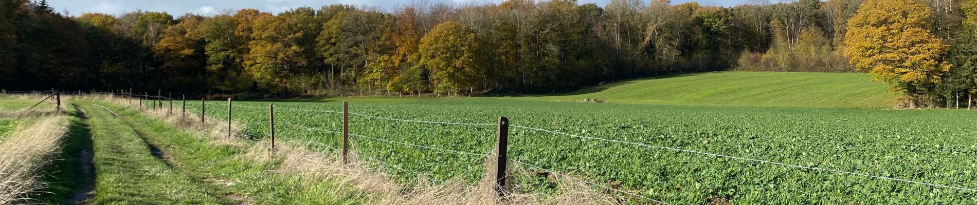 Tocht Stappen Gerpinnes - Hymiée et retour  - Photo