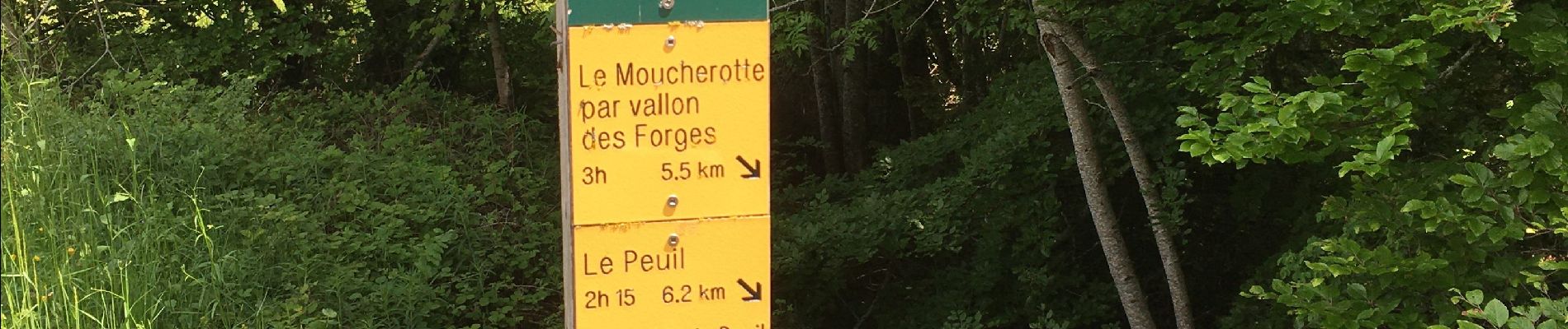 Tour Wandern Saint-Nizier-du-Moucherotte - Un petit AR sur le sentier du Périmètre  - Photo