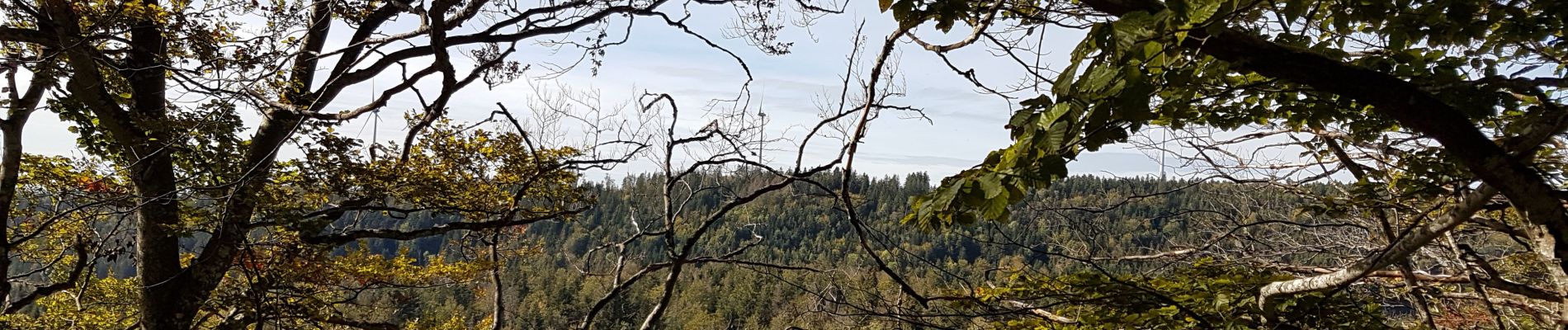 Trail Walking Charix - Tour du mont Burdet - Photo