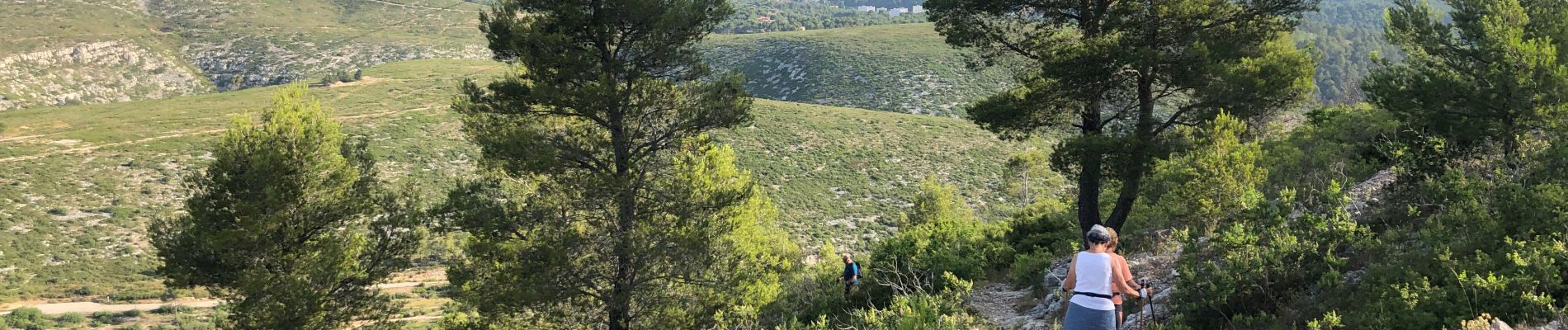 Randonnée Marche nordique Carnoux-en-Provence - Mn par la couette - Photo