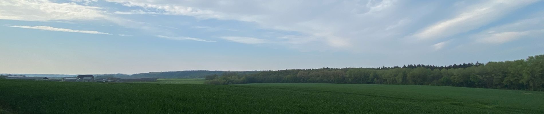 Tocht Stappen Mettet - Tournibus étang du Diable - Photo