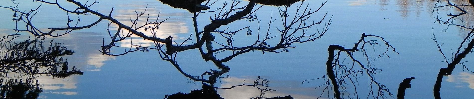 Percorso A piedi Lempäälä - Birgitan Polku - Photo