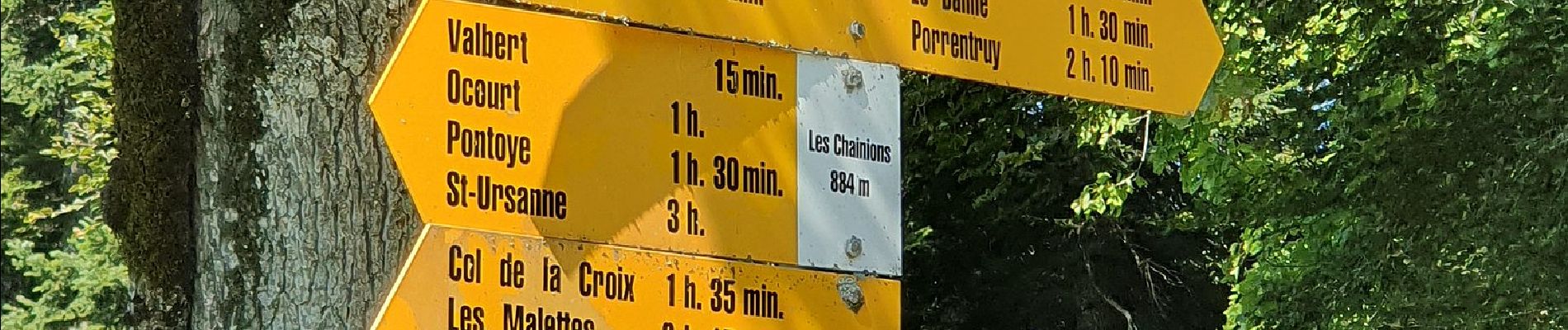 Excursión A pie Fontenais - Les Chainois-Seleute - Photo