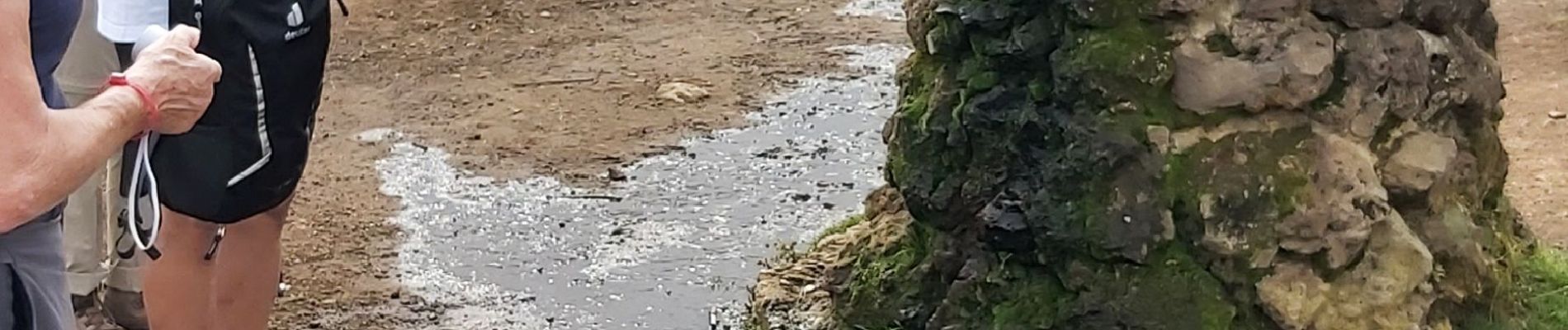 Tour Wandern Orcines - Puy de Dôme  - Photo