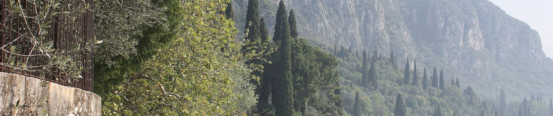 Excursión A pie Torri del Benaco - Punta San Vigilio - Crero - Photo