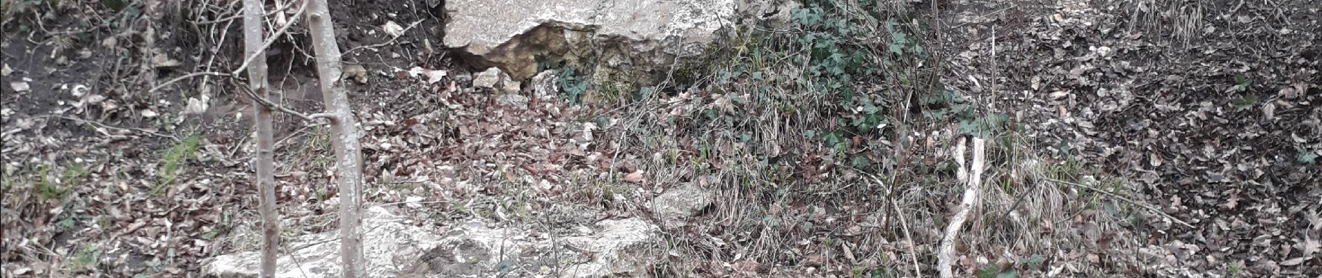 Tour Zu Fuß Petit-Couronne - Petit-Couronne. Vers le puits Hébert pour le printemps.  - Photo