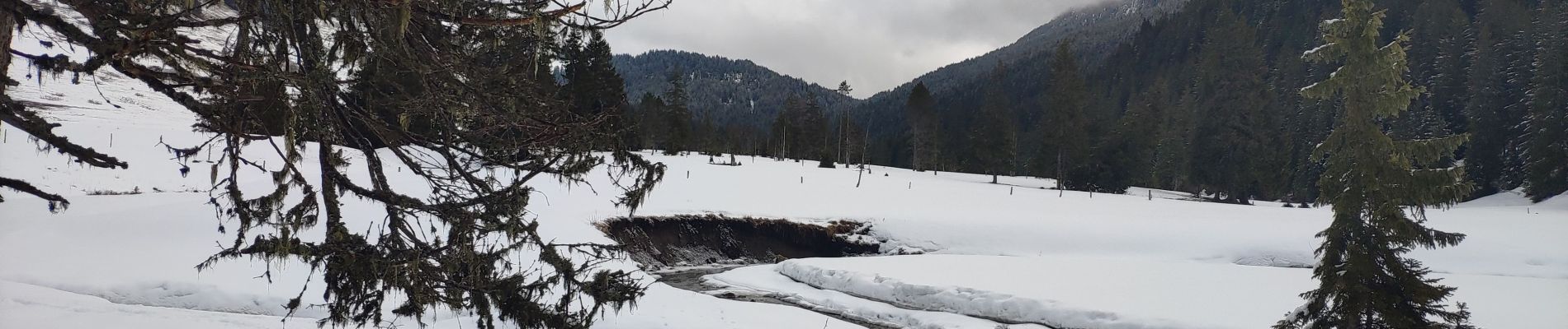 Percorso Racchette da neve Fillière - 21 février 2020 plateau des Glieres - Photo