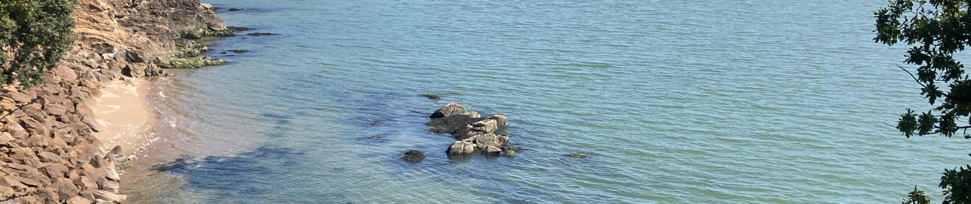 Tocht Trail Saint-Nazaire - St-Nazaire à Pornichet(27K 380D+) - Photo