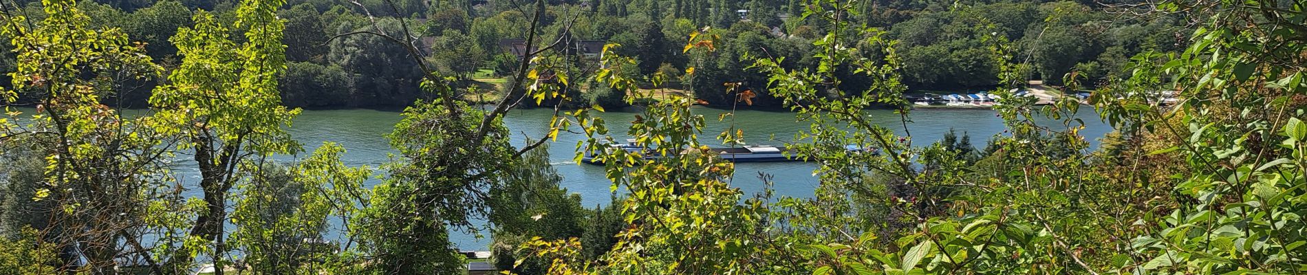 Tour Wandern Nandy - Rougeau - Photo