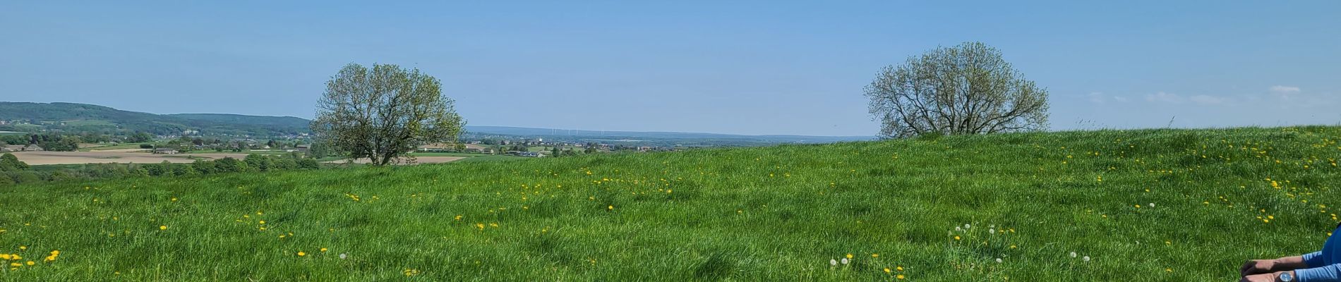 Randonnée Marche Plombières - hombourg - Photo